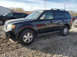 2010 Ford Escape XLT en venta en Columbus, OH