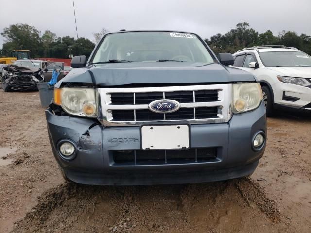 2011 Ford Escape XLT