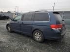 2009 Honda Odyssey EXL