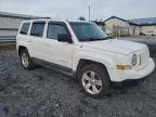 2011 Jeep Patriot Sport