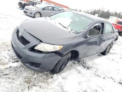 Toyota Vehiculos salvage en venta: 2009 Toyota Corolla Base