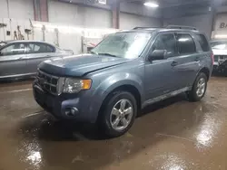 2011 Ford Escape XLT en venta en Elgin, IL