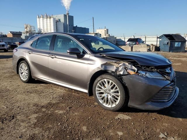 2020 Toyota Camry XLE