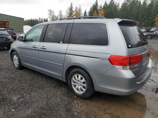 2010 Honda Odyssey EXL