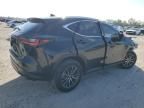 2024 Lexus NX 250 Base