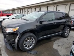 Salvage cars for sale at Louisville, KY auction: 2014 Ford Edge SEL