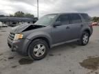 2009 Ford Escape XLS