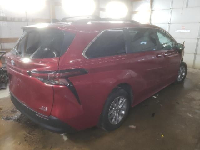 2024 Toyota Sienna XLE