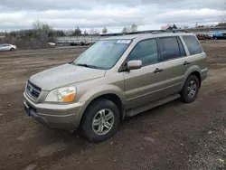 Honda Vehiculos salvage en venta: 2005 Honda Pilot EXL