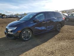 2023 Honda Odyssey Elite en venta en San Martin, CA