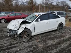 Salvage cars for sale at Baltimore, MD auction: 2012 Audi A4 Premium