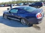 2010 Ford Mustang