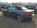 2011 Audi S5 Premium Plus