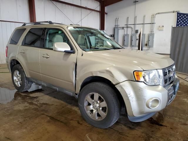 2012 Ford Escape Limited