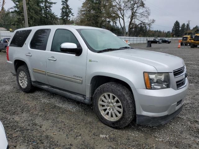 2010 Chevrolet Tahoe Hybrid