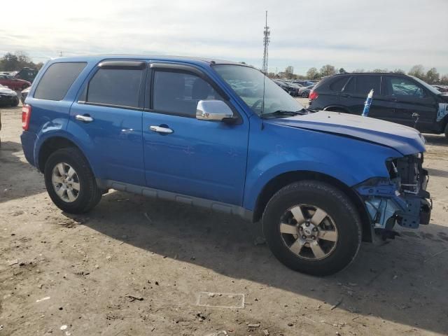 2011 Ford Escape XLS