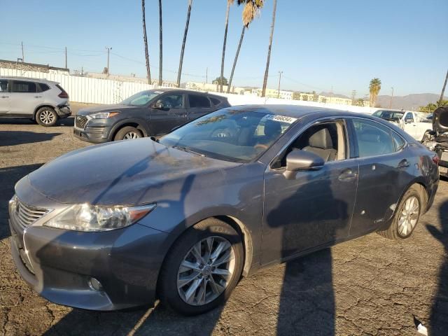 2013 Lexus ES 300H