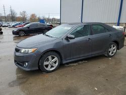 Salvage cars for sale at Lawrenceburg, KY auction: 2013 Toyota Camry L