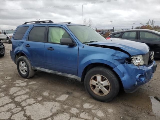 2009 Ford Escape XLT