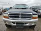 2002 Dodge Dakota Quad SLT