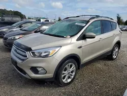 Salvage cars for sale at Apopka, FL auction: 2018 Ford Escape SE