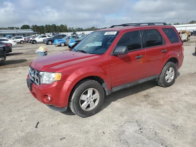 2010 Ford Escape XLT