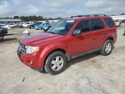 2010 Ford Escape XLT en venta en Gaston, SC