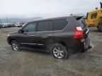 2012 Lexus GX 460 Premium