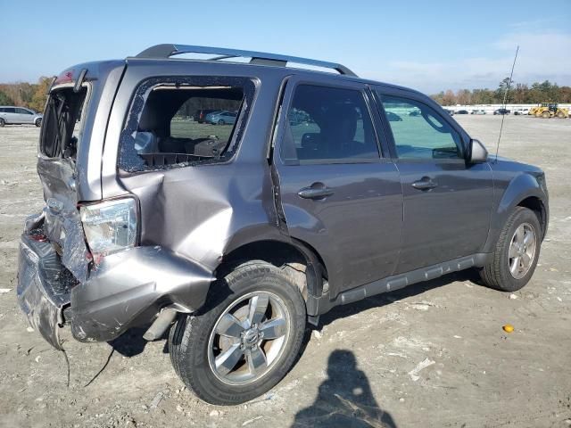 2011 Ford Escape Limited