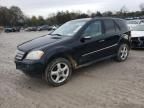 2008 Mercedes-Benz ML 350