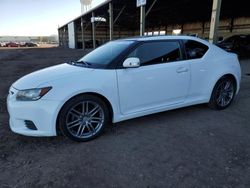 Salvage cars for sale from Copart Phoenix, AZ: 2013 Scion TC