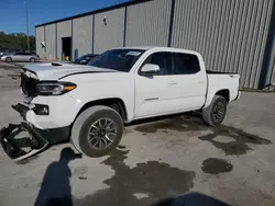 Salvage cars for sale at Apopka, FL auction: 2023 Toyota Tacoma Double Cab