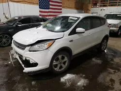 Vehiculos salvage en venta de Copart Anchorage, AK: 2013 Ford Escape SE