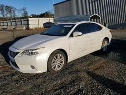 Lexus Vehiculos salvage en venta: 2014 Lexus ES 350