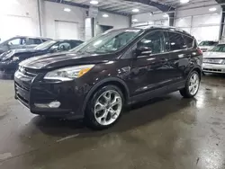 Salvage cars for sale from Copart Ham Lake, MN: 2013 Ford Escape Titanium