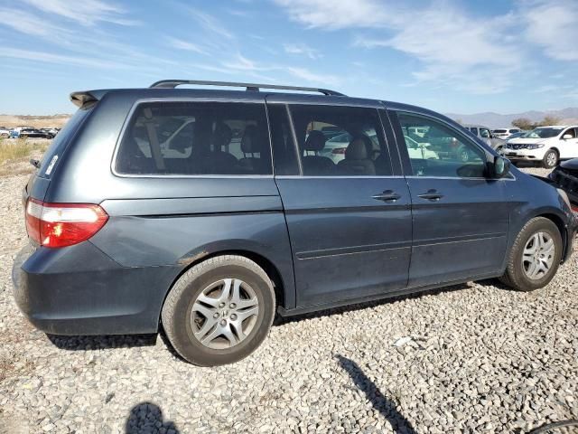 2005 Honda Odyssey EXL