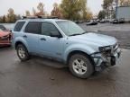 2008 Ford Escape HEV