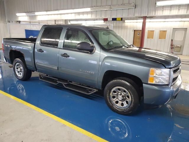 2010 Chevrolet Silverado K1500 LS