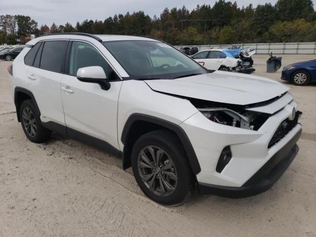 2024 Toyota Rav4 XLE Premium