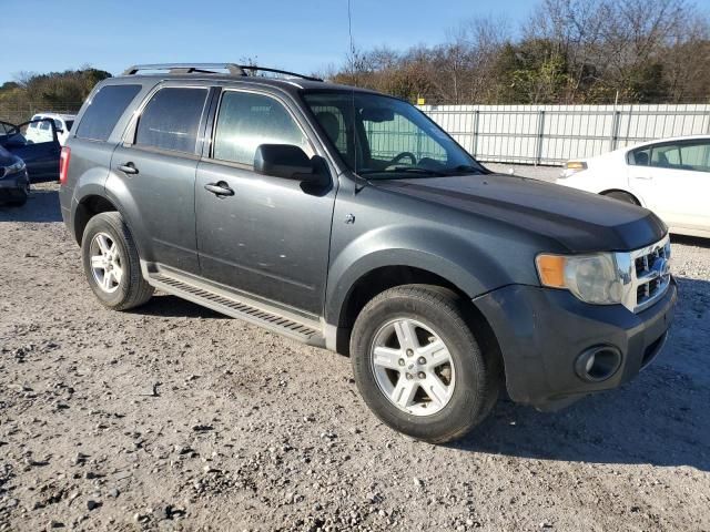 2008 Ford Escape HEV