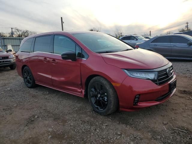 2024 Honda Odyssey Sport