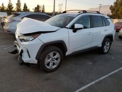 Salvage cars for sale at Rancho Cucamonga, CA auction: 2020 Toyota Rav4 XLE