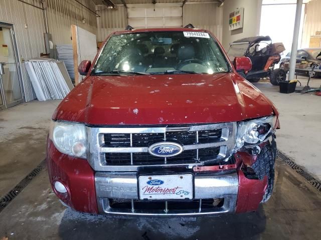 2008 Ford Escape Limited