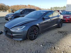 Salvage cars for sale at Windsor, NJ auction: 2023 Tesla Model S