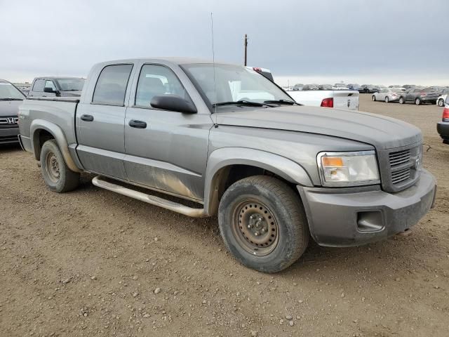 2011 Dodge Dakota SLT