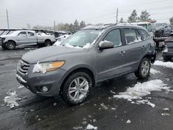 Hyundai salvage cars for sale: 2010 Hyundai Santa FE SE