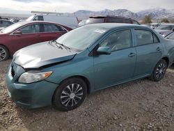 Toyota Corolla salvage cars for sale: 2010 Toyota Corolla Base