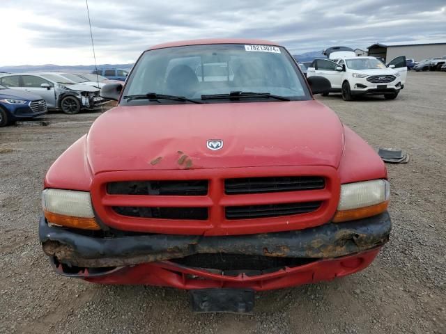 1998 Dodge Dakota