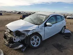 Salvage cars for sale at Brighton, CO auction: 2013 Ford Focus SE