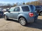 2010 Ford Escape Limited